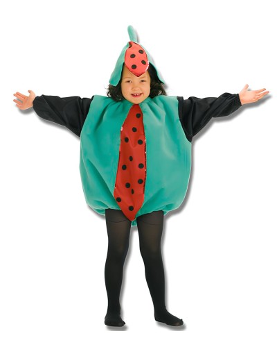 Disfraz de Sandia Infantil