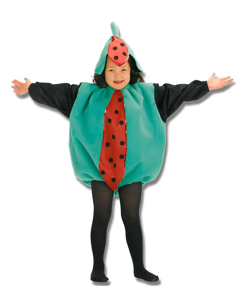 Disfraz de Sandia Infantil