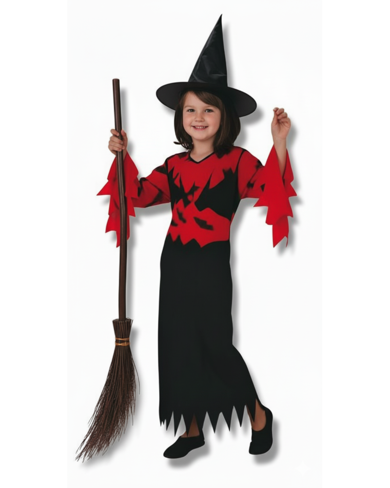 Disfraz de Bruja Daniela Infantil Niña
