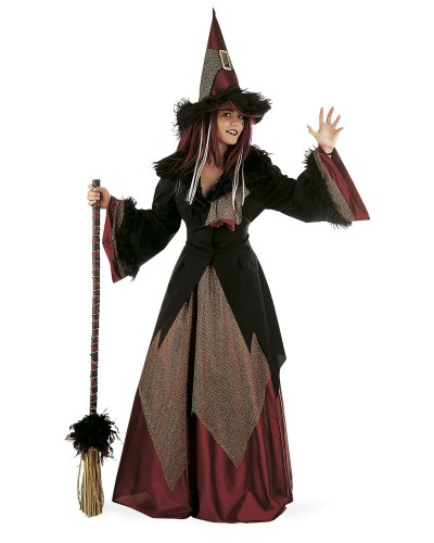 Disfraz de Bruja Dacha Adulto