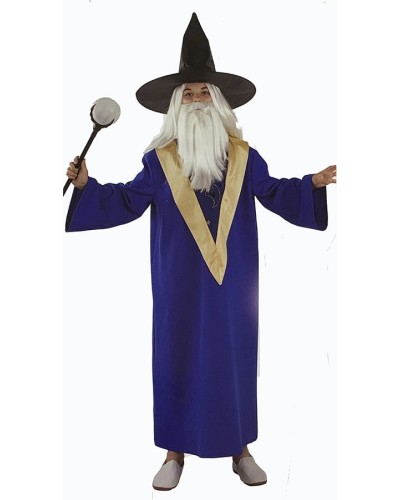Disfraz Mago Merlin Infantil Niño